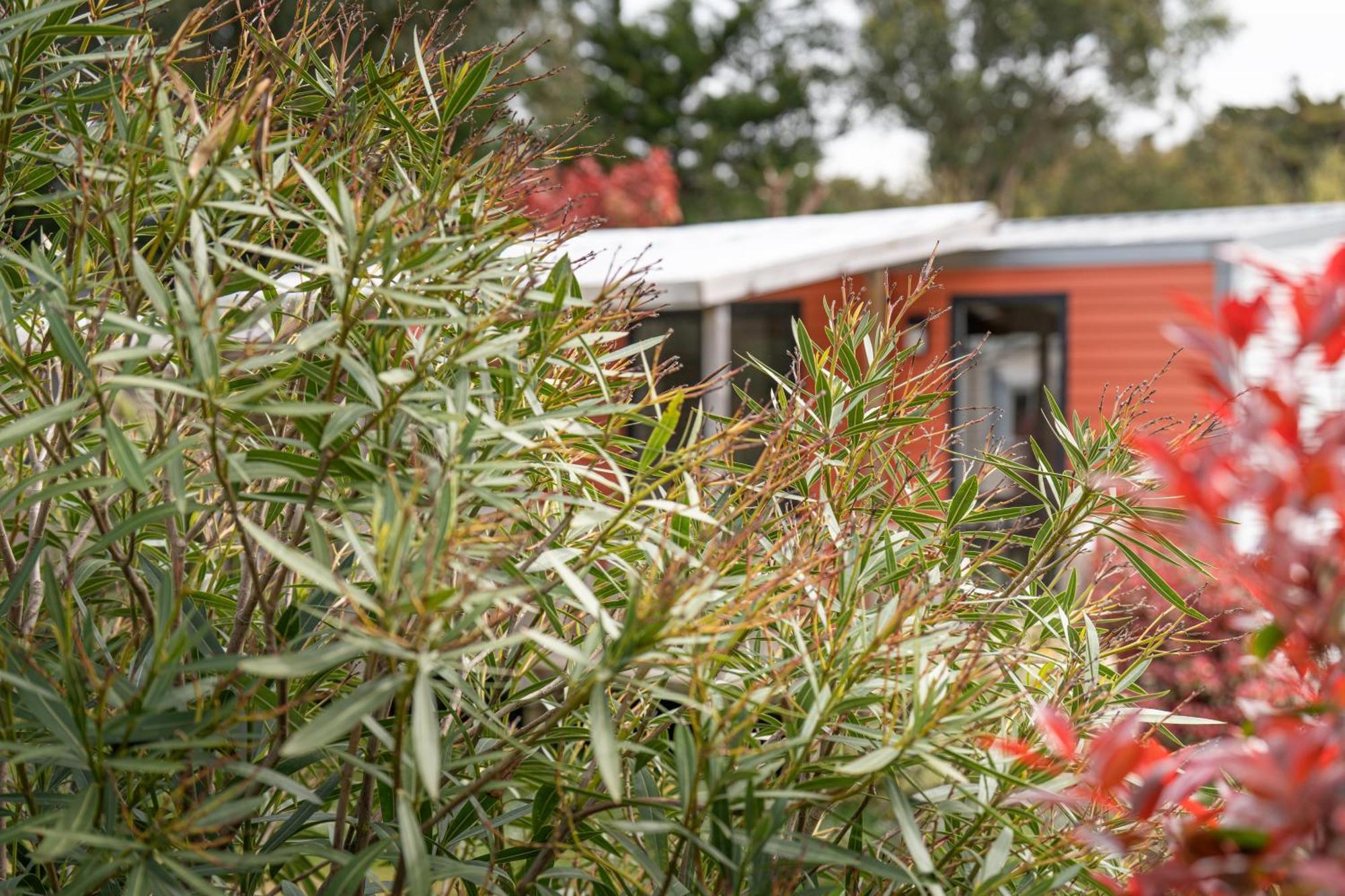 Camping Antioche D'Oleron La Bree-les-Bains ภายนอก รูปภาพ