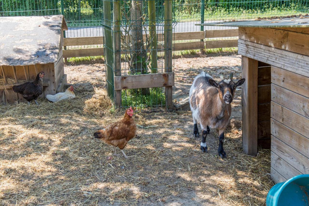 Camping Antioche D'Oleron La Bree-les-Bains ภายนอก รูปภาพ